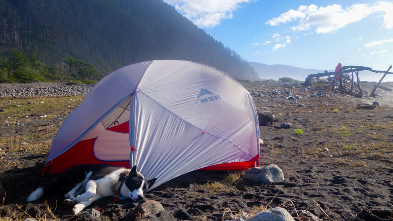 Illustration for article titled Adventure: California's Lost Coast